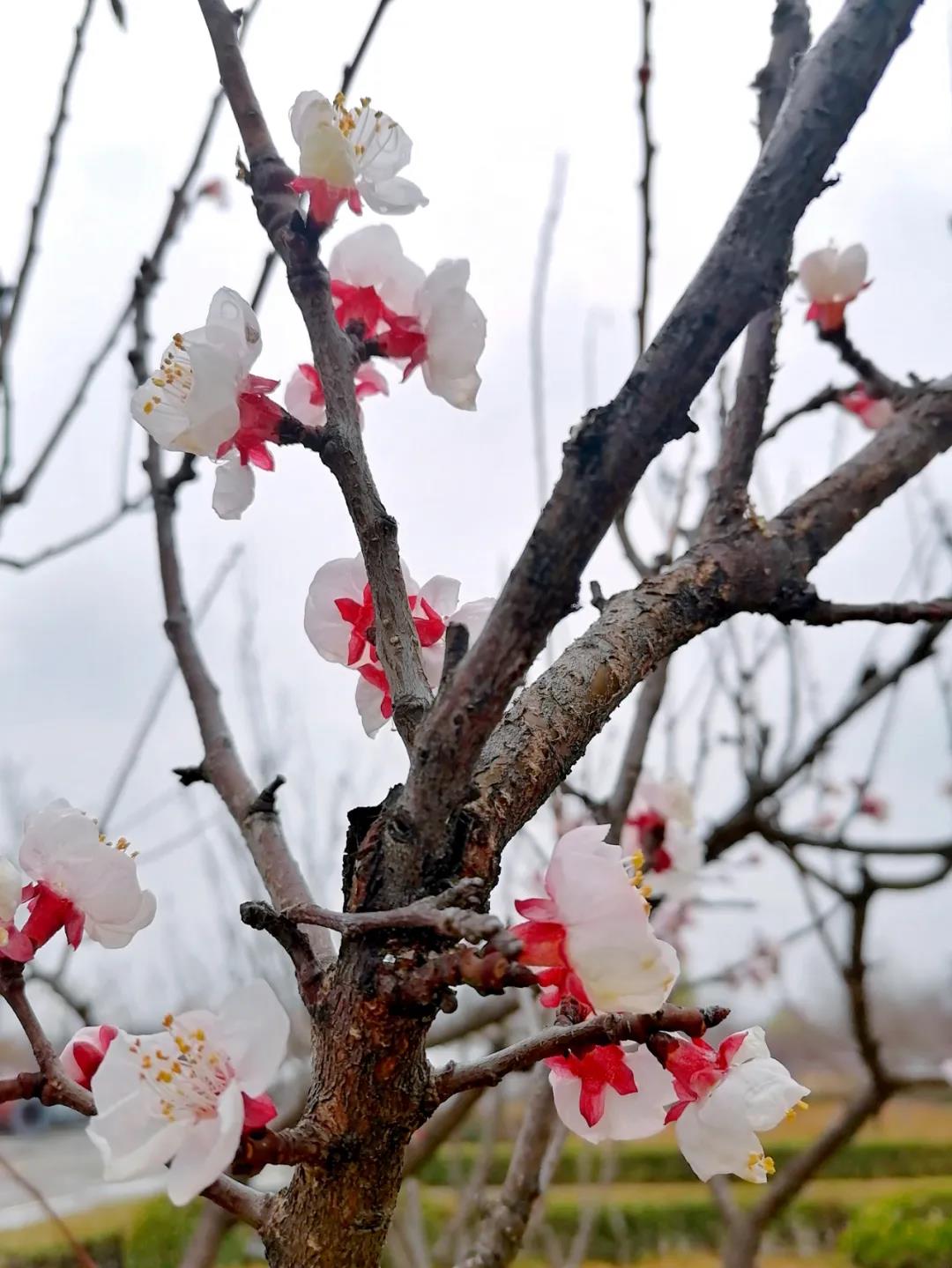 bwin·必赢(中国)唯一官方网站