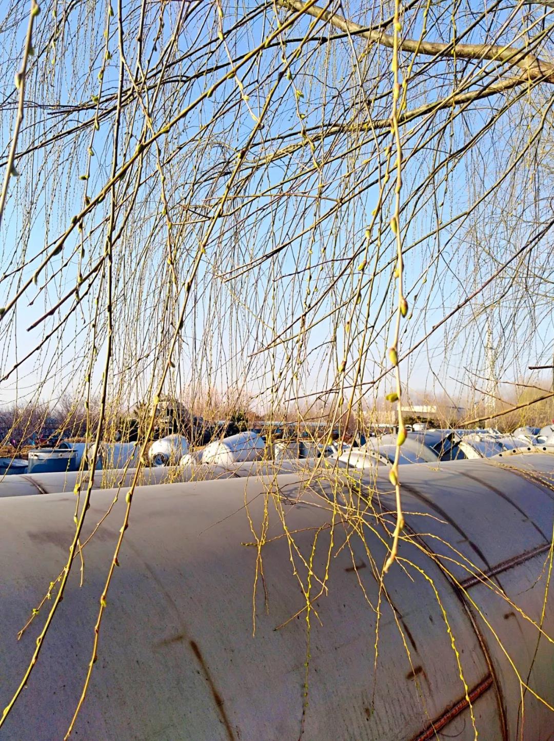 bwin·必赢(中国)唯一官方网站