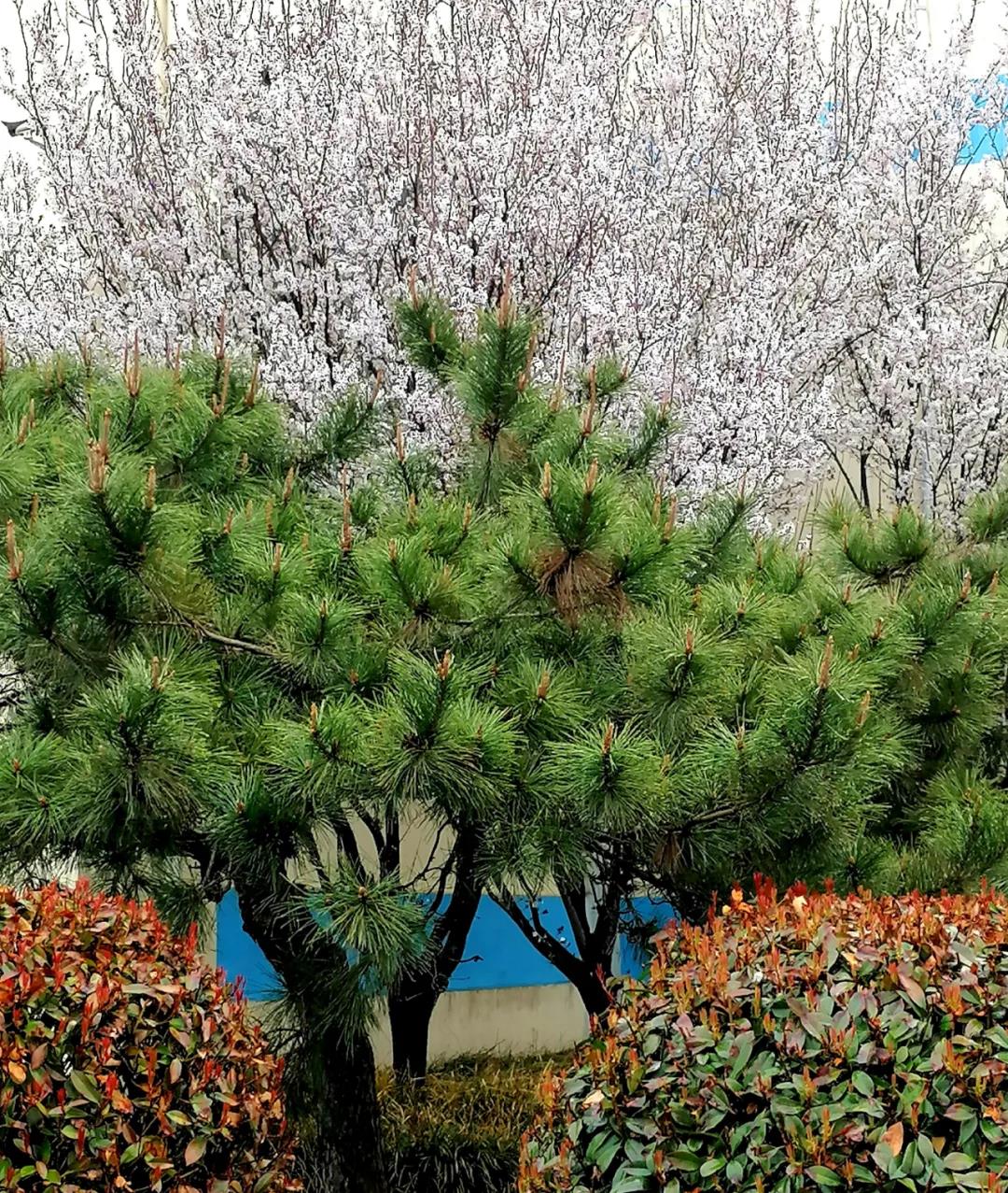 bwin·必赢(中国)唯一官方网站