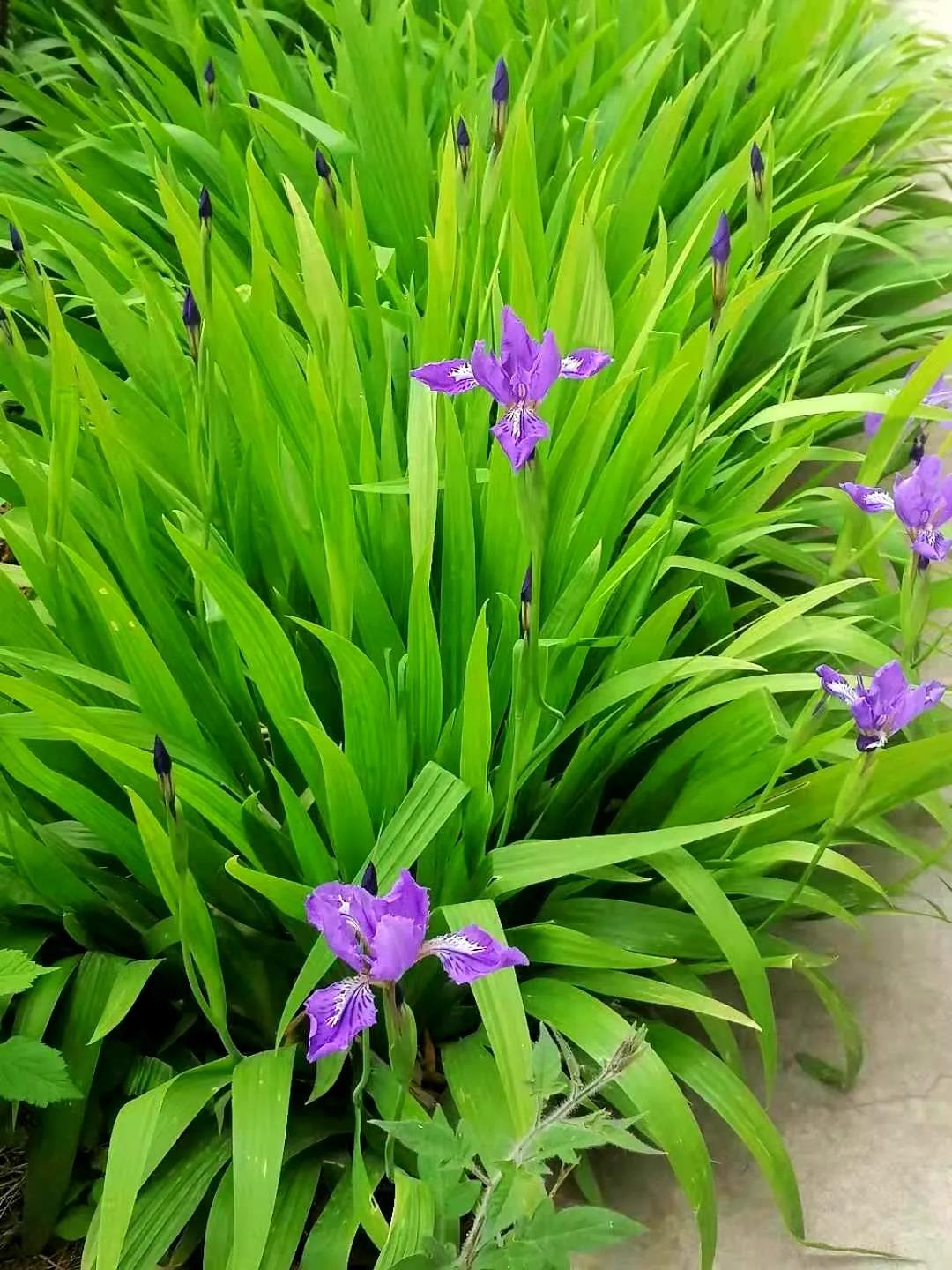 bwin·必赢(中国)唯一官方网站